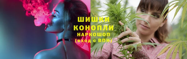 гидра Кинешма