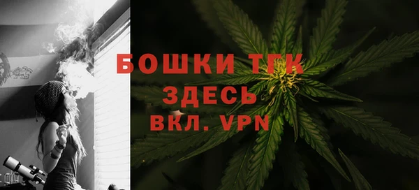 гидра Кинешма