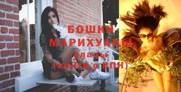 гидра Кинешма
