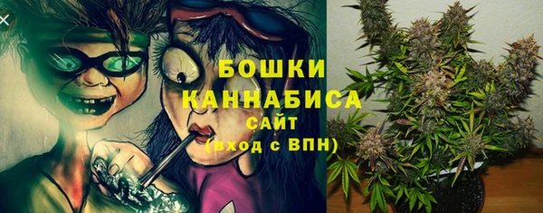 гидра Кинешма