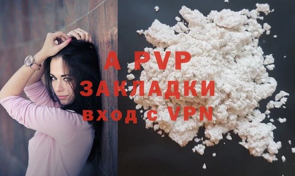 гидра Кинешма