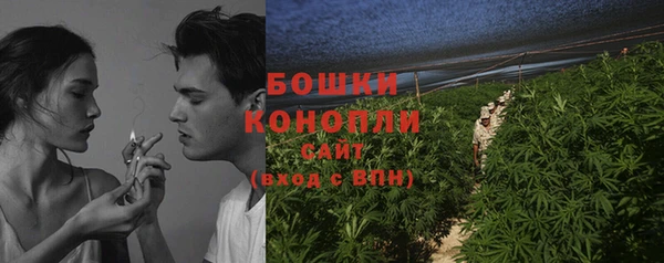 сатива Киренск