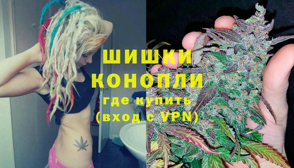 сатива Киренск