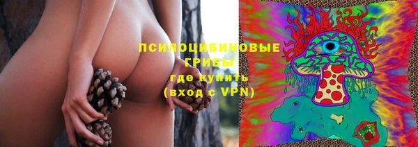 сатива Киренск