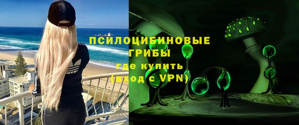 гидра Кинешма